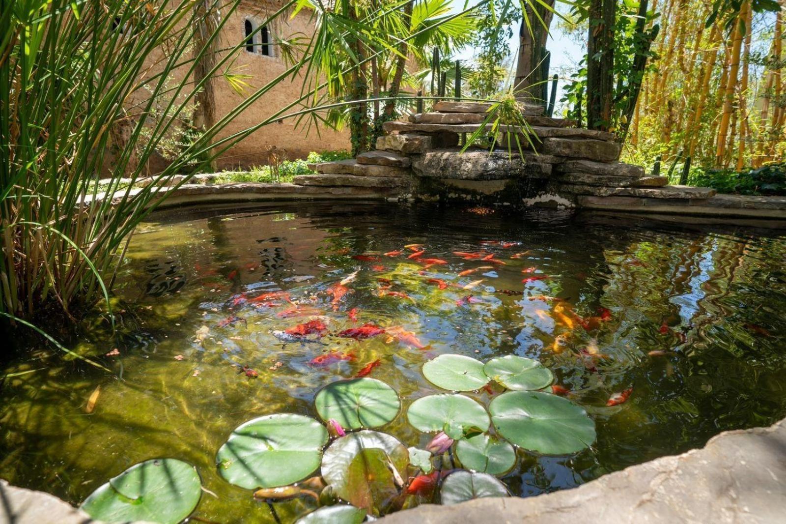 Hotel Molino Garden Şafşavan Dış mekan fotoğraf