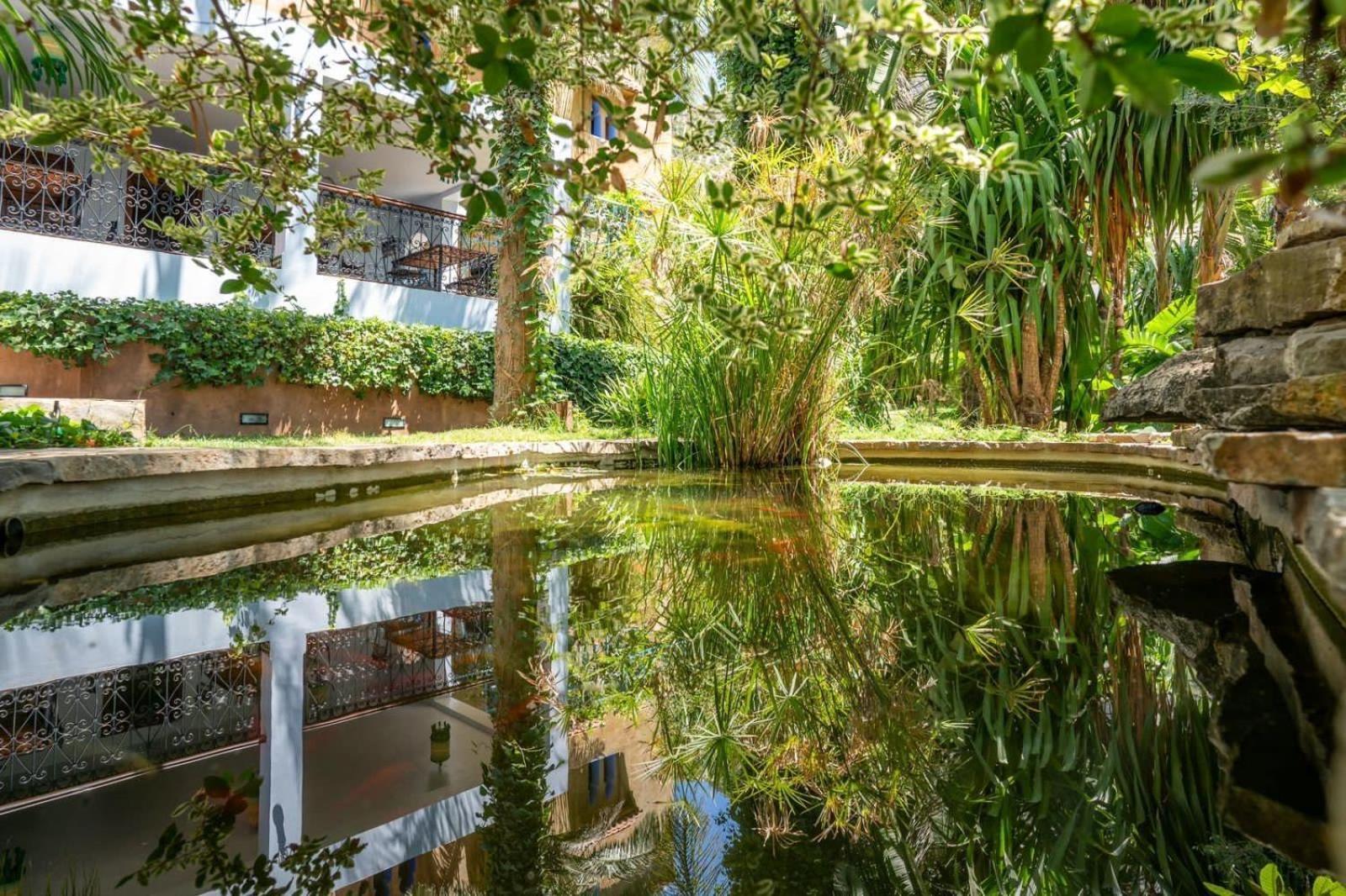 Hotel Molino Garden Şafşavan Dış mekan fotoğraf